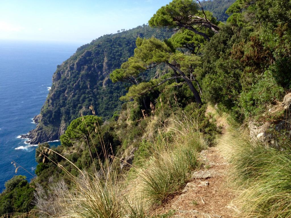 Casa Del Bosco Βίλα Borzonasca Εξωτερικό φωτογραφία